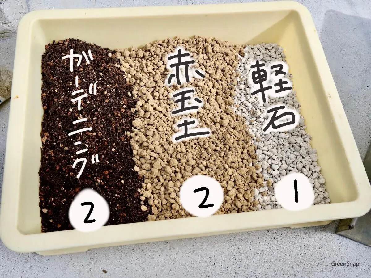 多肉植物 土の配合：失敗しない！初心者向け完璧レシピ